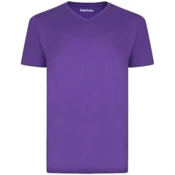 Bigdude Plain V-Neck T-Shirt Purple Tall