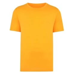 Bigdude Plain Crew Neck T-Shirt Orange Tall